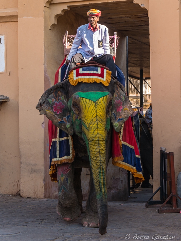 Elefanten - Amber Palace Jaipur