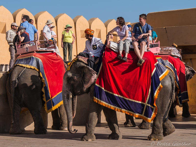 Elefantentaxi - Amber Palace Jaipur