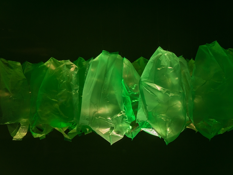 Plastiktüten im grünen Licht