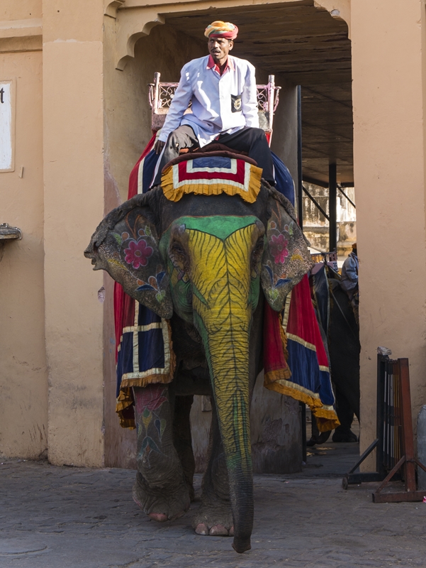 Elefant Amber Palace